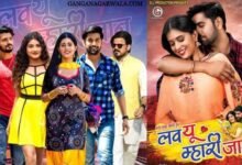 देसी मजा देती ‘लव यू म्हारी जान’