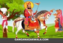 हिन्दू-मुस्लिम संस्कृति के समन्वयक- लोक देवता बाबा रामदेव