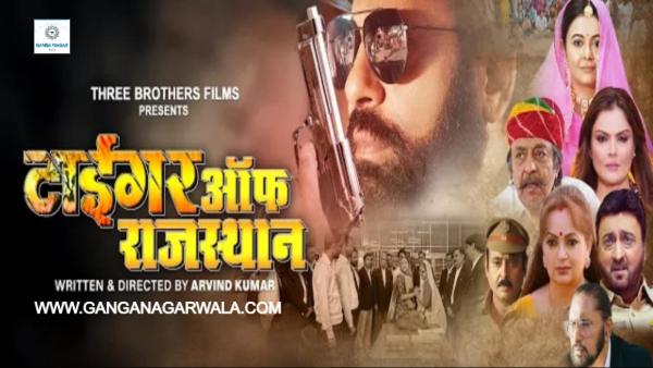 गले पड़ता 'टाइगर ऑफ़ राजस्थान'